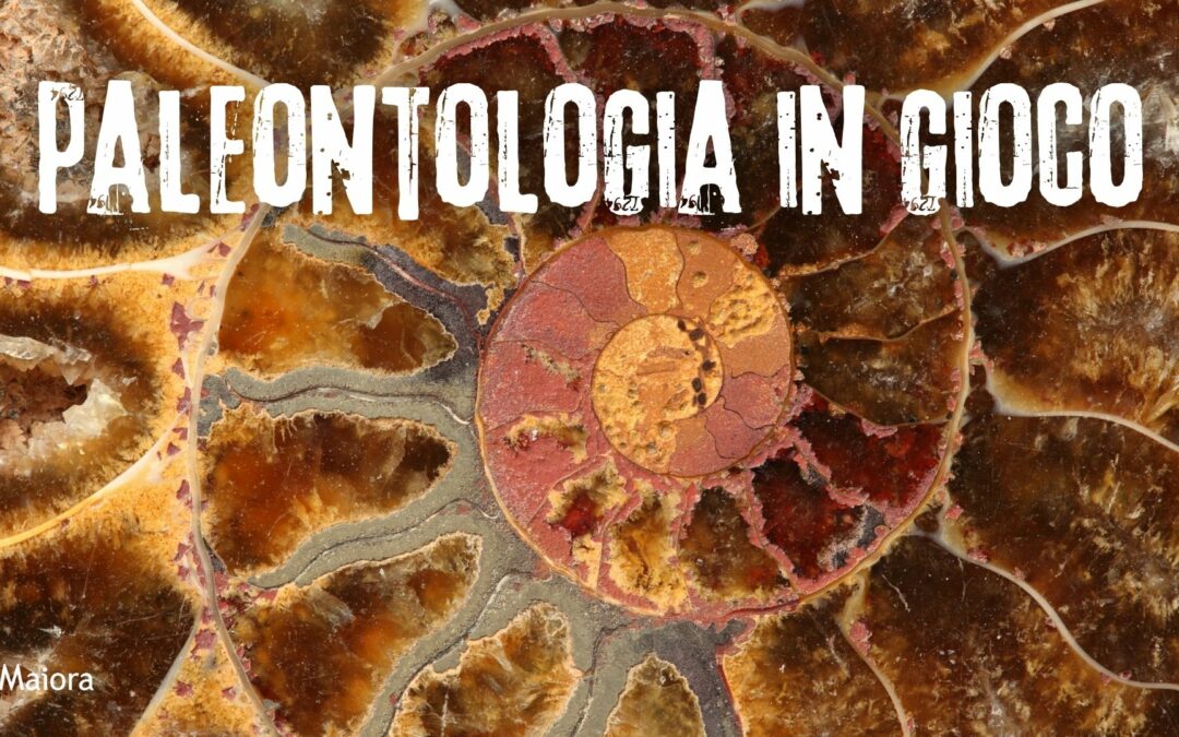 Paleontologia in Gioco. Lab per bambini dai 5 anni