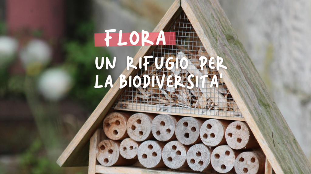 Un rifugio per la biodiversità