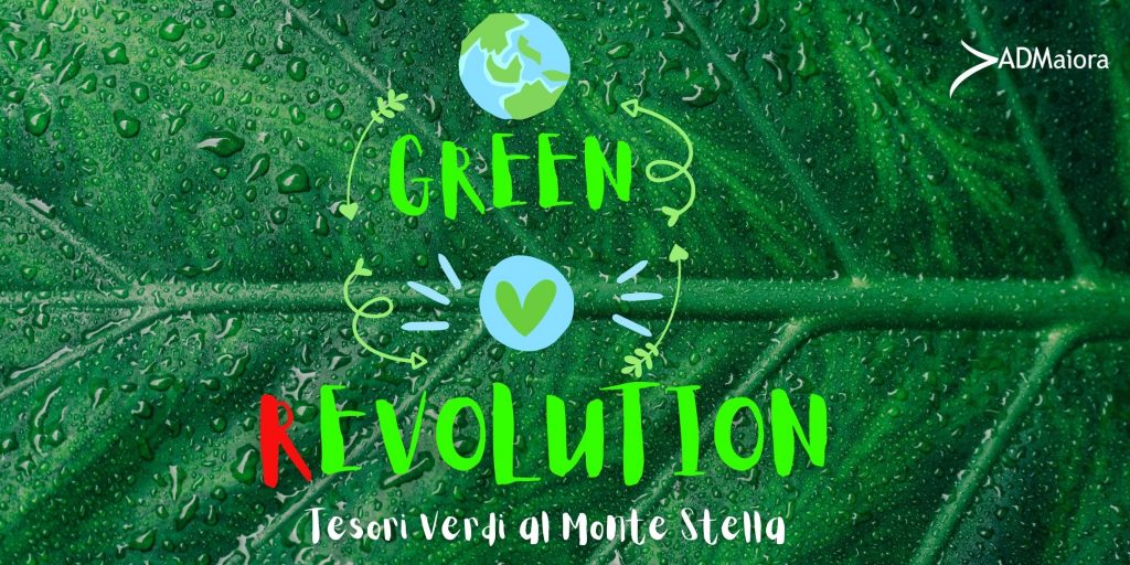 GREEN REVOLUTION-Tesori verdi al MONTESTELLA (QT8)