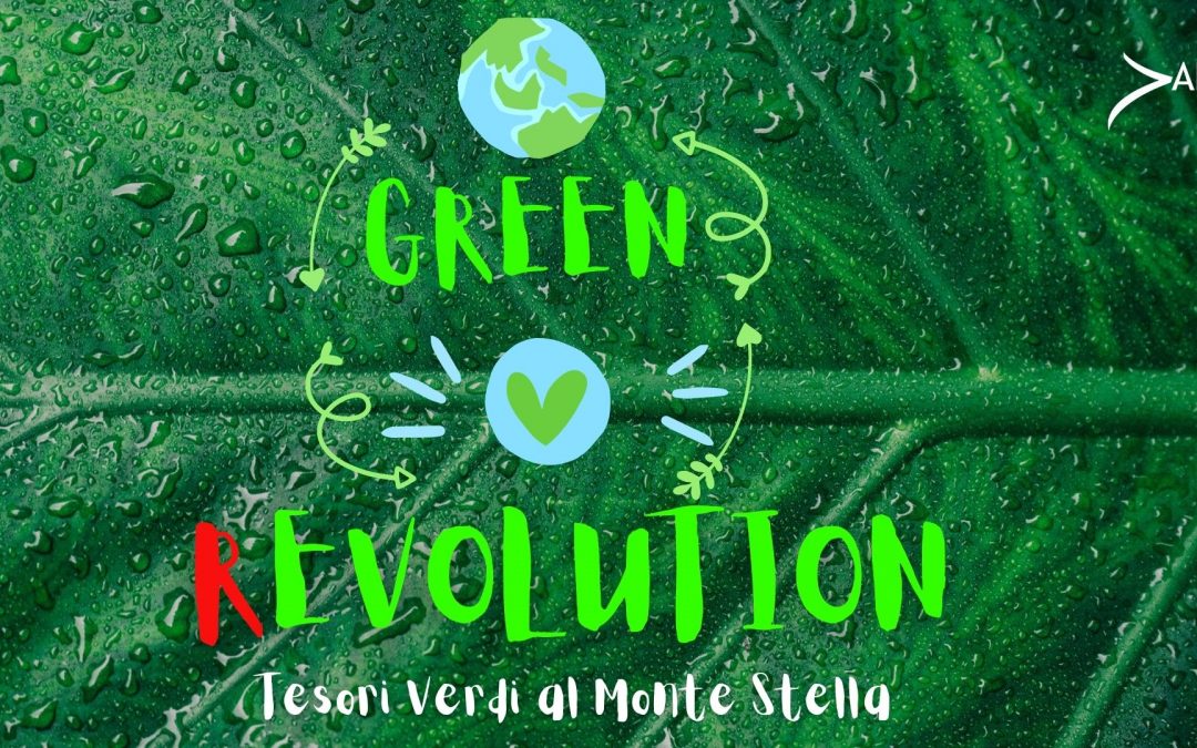 GREEN REVOLUTION-Tesori verdi al MONTESTELLA (QT8)