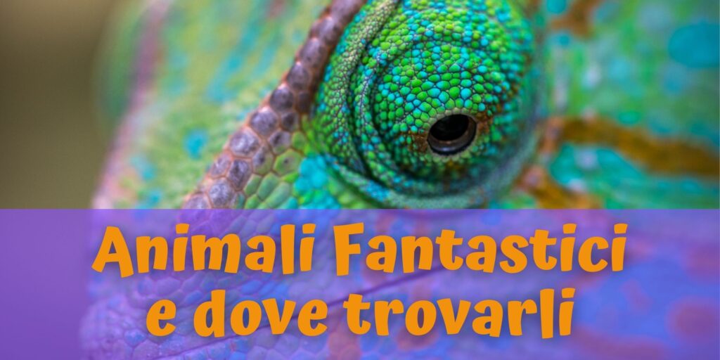 Animali fantastici e dove trovarli