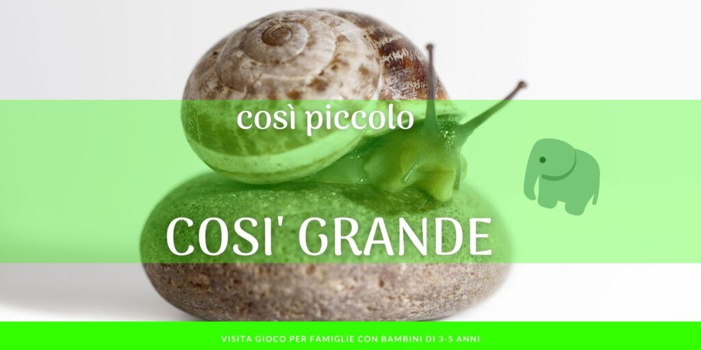 Così Piccolo, così Grande