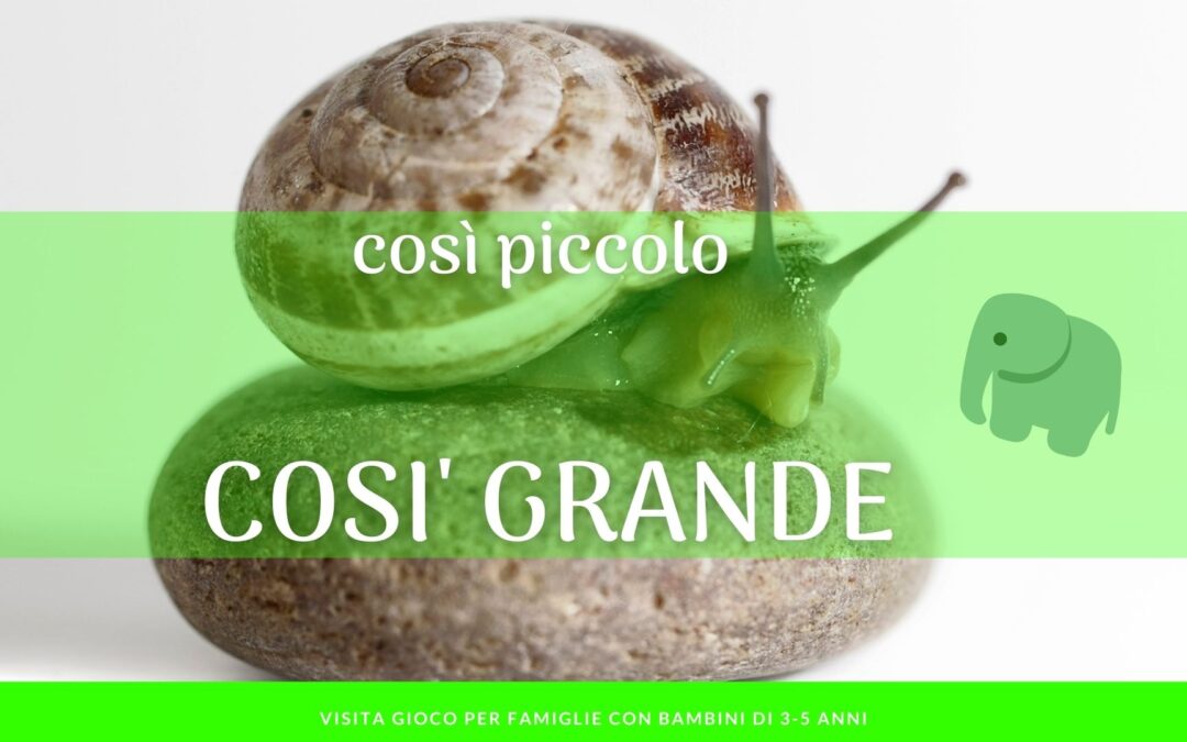 Così Piccolo, così Grande