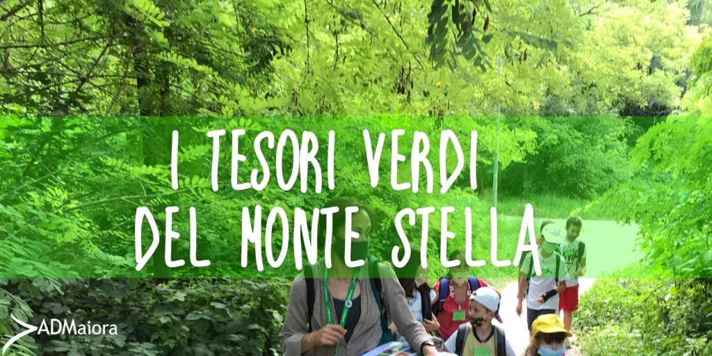 I tesori verdi del Monte Stella