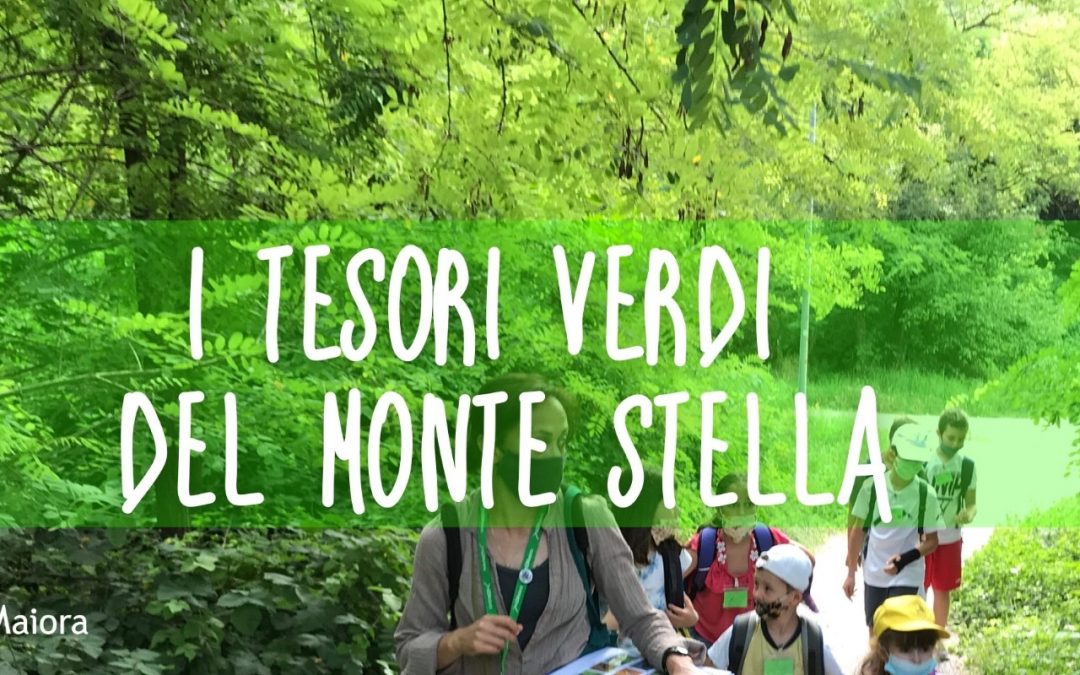 I tesori verdi del Monte Stella