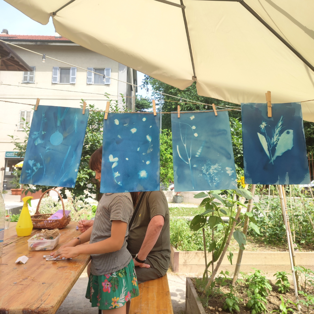 La natura in blu. Laboratorio di Cianotipia per bambini.