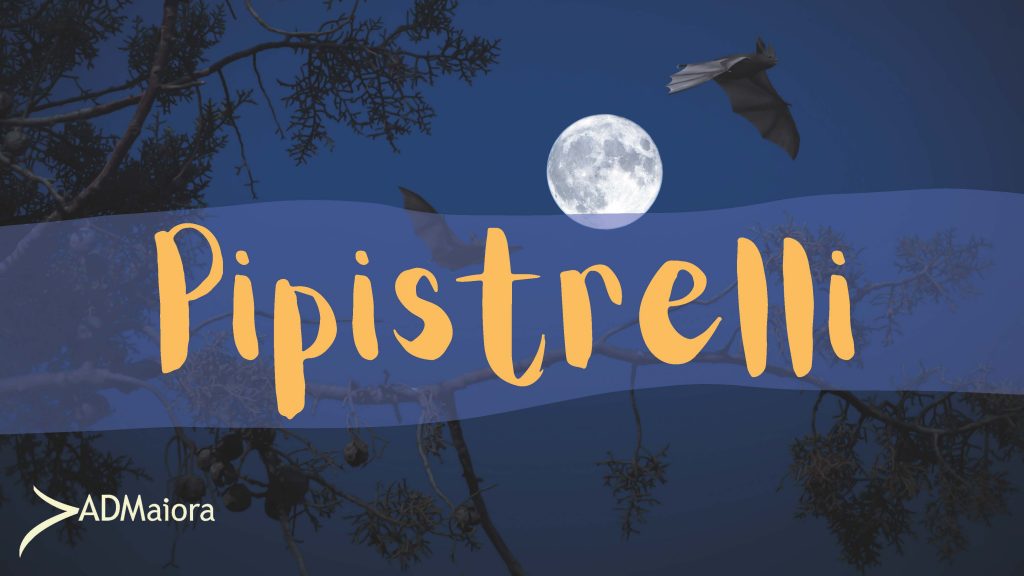 Speciale Halloween: Pipistrelli!