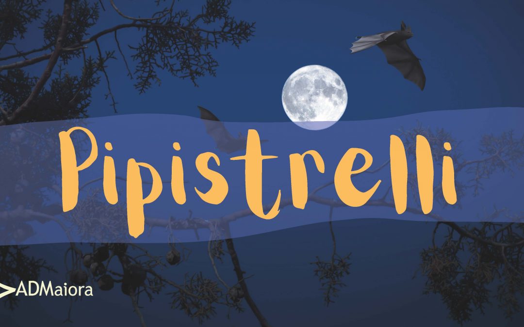 Speciale Halloween: Pipistrelli!