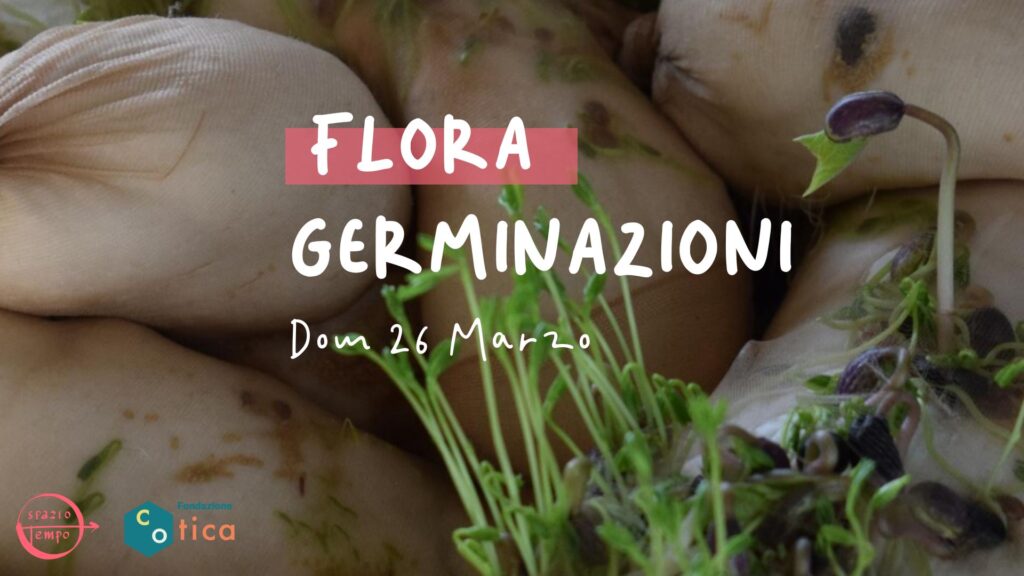 “Germinazioni” laboratorio con la terra e la semina