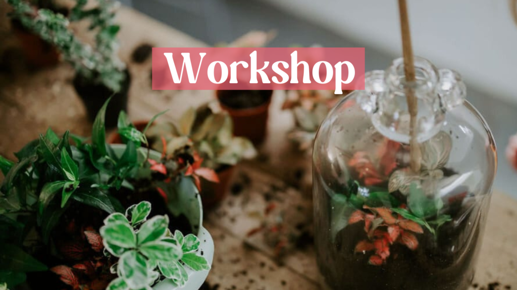 Workshop Terrarium