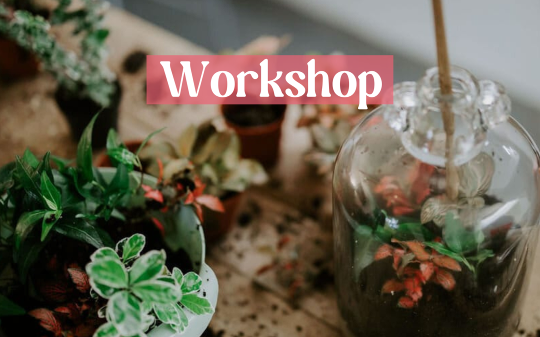 Workshop Terrarium