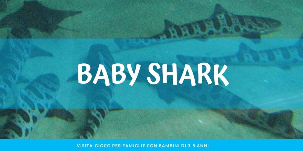 Baby Shark