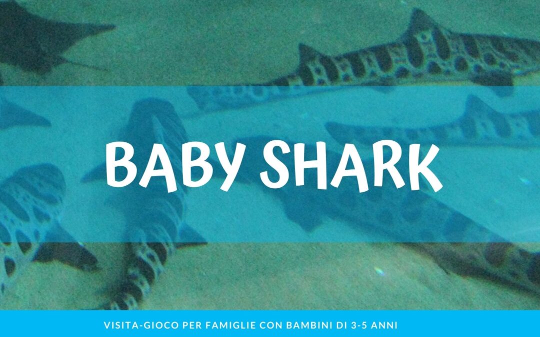 Baby Shark