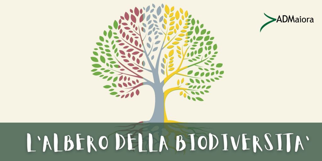 L’albero della biodiversità