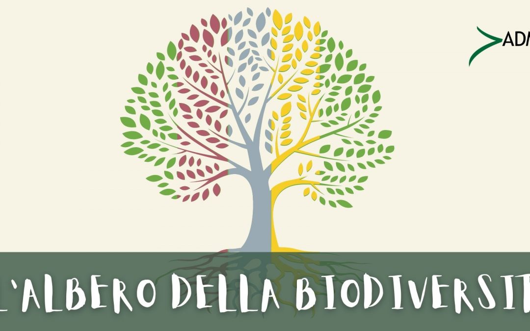 L’albero della biodiversità