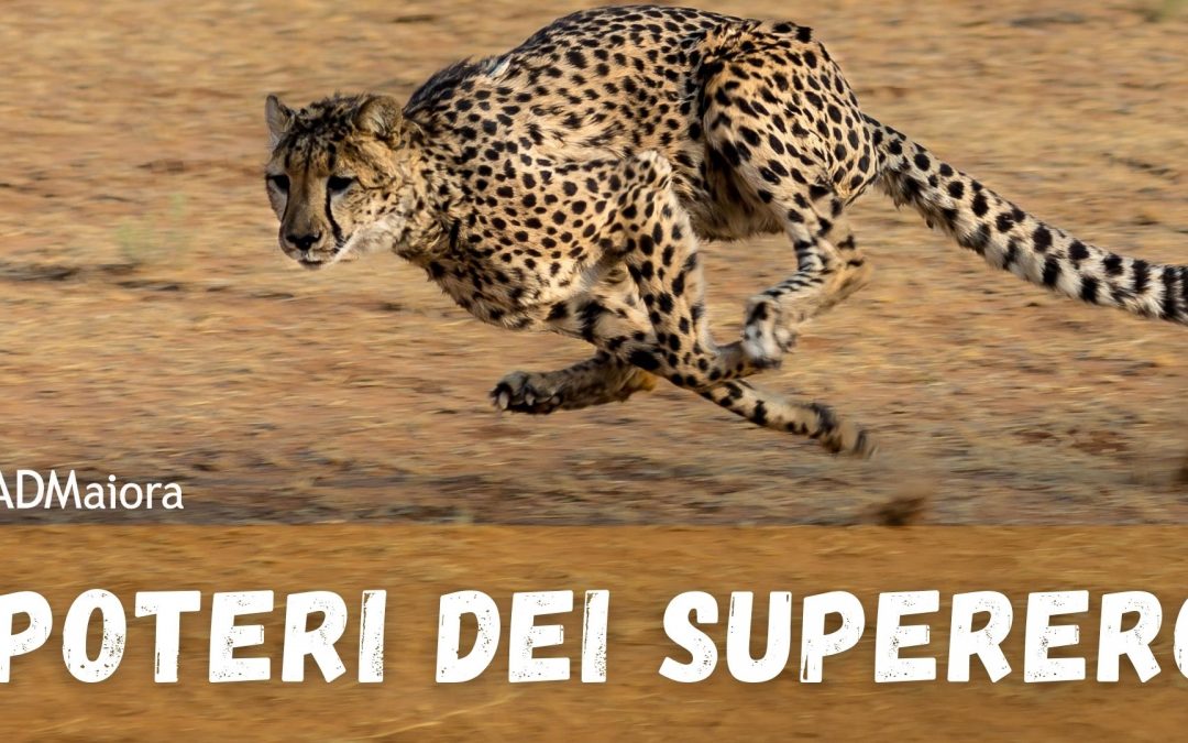 I poteri dei supereroi