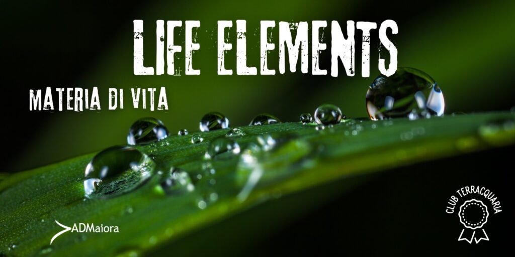 LIFE ELEMENTS, materia di vita